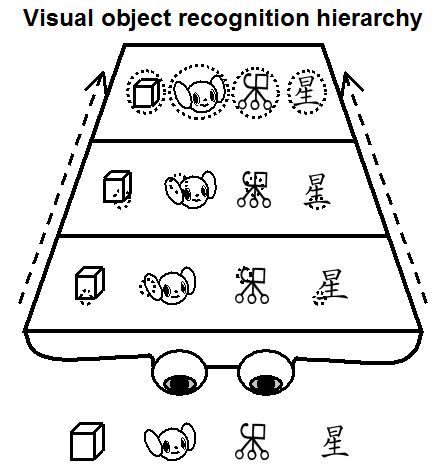 visual object recognition heirarchy